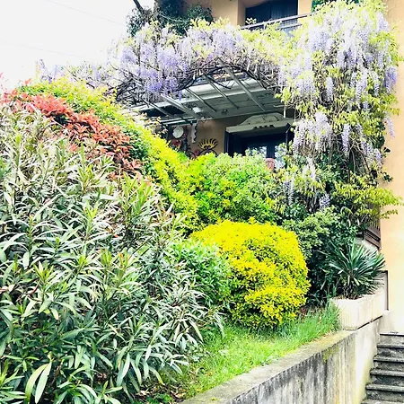 Al Glicine Apartament *